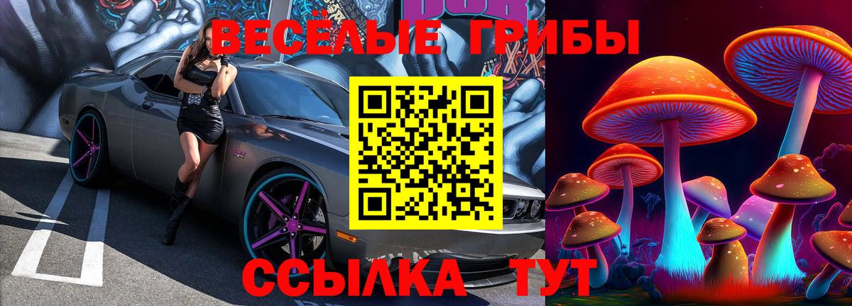 Галлюциногенные грибы Psilocybine cubensis Красноармейск